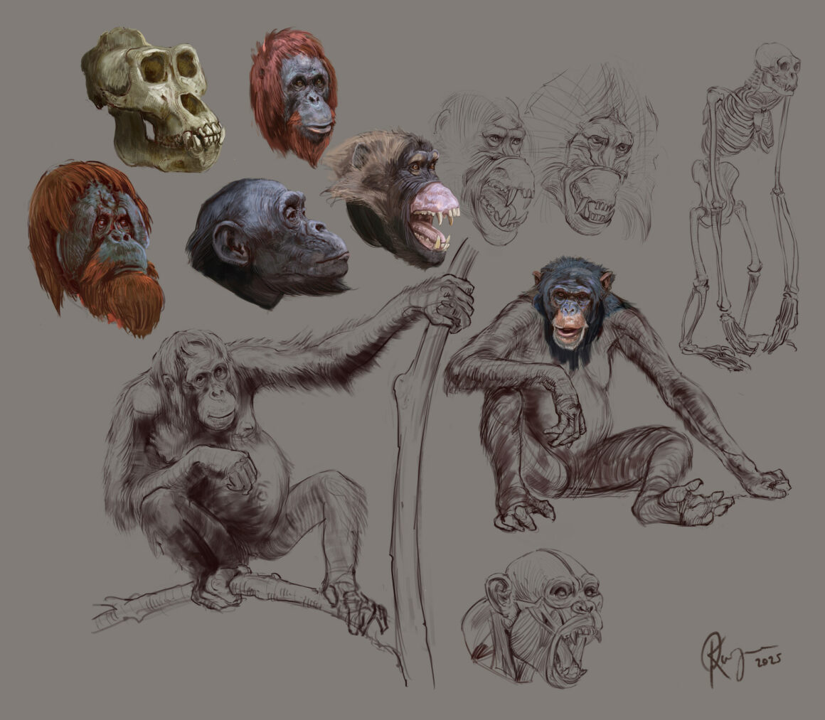 Oleksandr Kozachenko